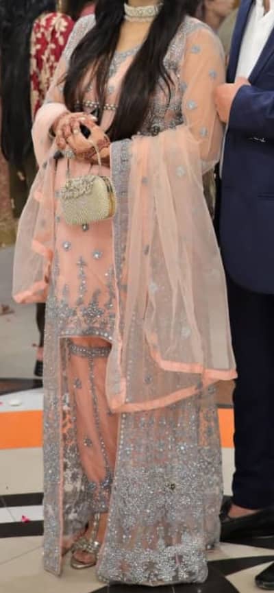 butiful pink dress mirror work