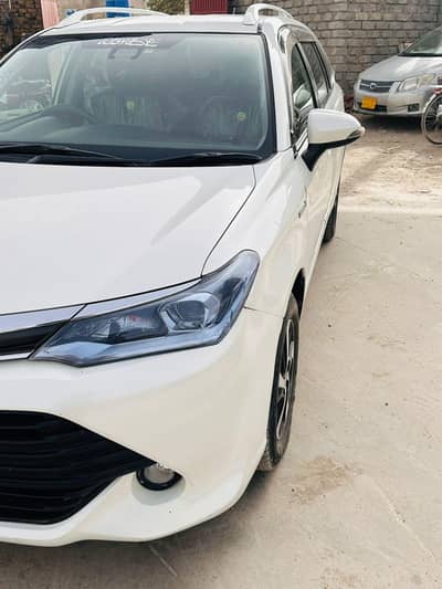 Axio Fielder Hybrid 2015