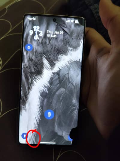 pixel 7pro Hazel colour