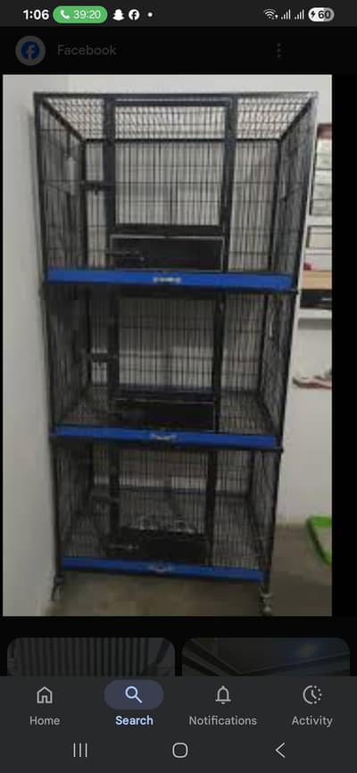 Cages available Full setup for sale