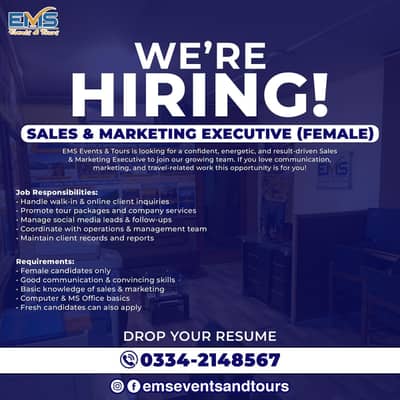 Sales & marketing executive