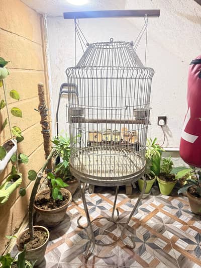 Bird cage in new condition