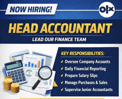 Head accountant