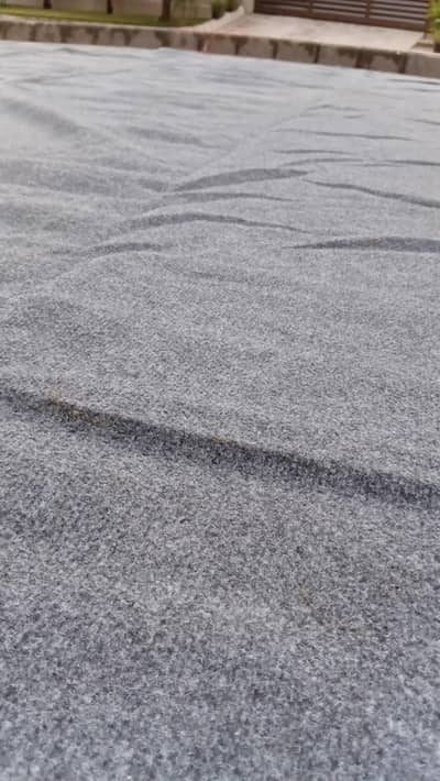 two full rooms carpets