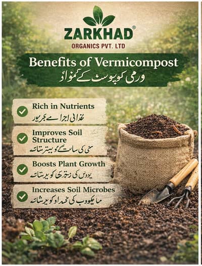 کچوا کھاد Kachua Khad Vermicompost Organic