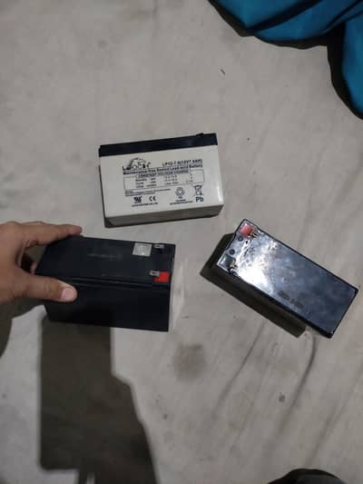 Animal Scrap hen  Kharab