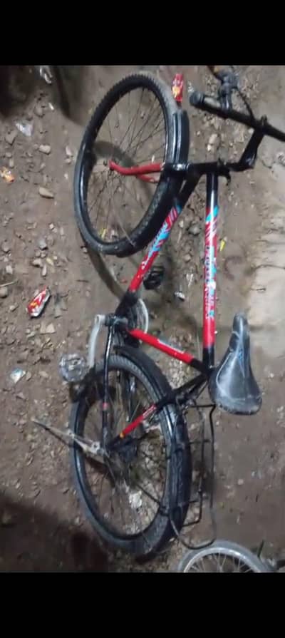 phoenix cycle 26 inch