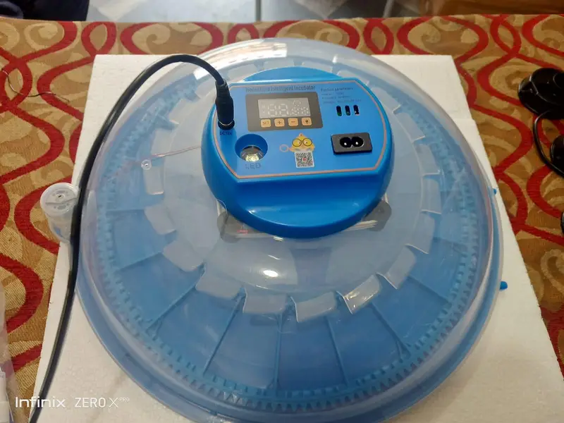 Incubators | Brooders | Spareparts | temperature & humidity controller — photo 7