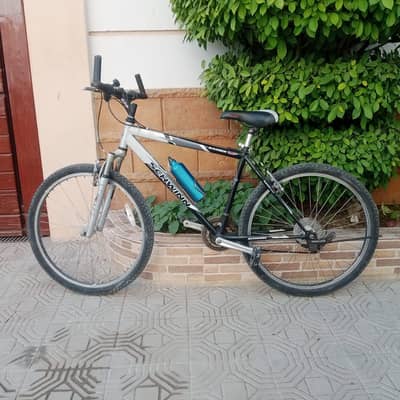 Schwinn Imported Cycle - 26 size - 0320/225/7271