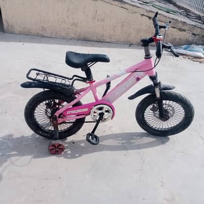 MIQIGE IMPORTED CYCLE - 16 SIZE - 0320/225/7271