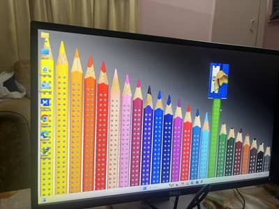 Dell 24inch LCD