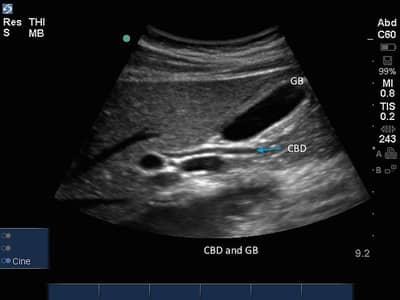 GENRAL SURGEON REQUIRE