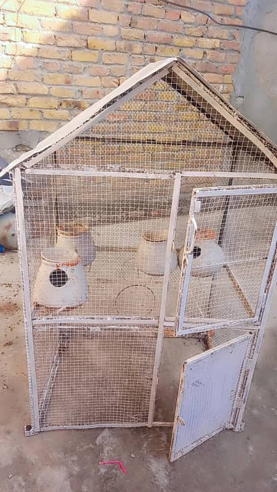 Birds cage