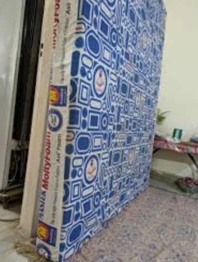 molty foam 6 inch for sale