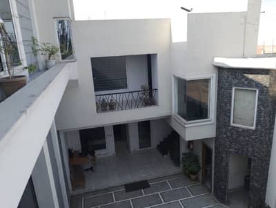 2 Kanal Double Storey Factory For Sale