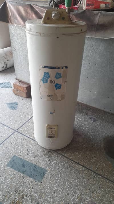 NASGAS Electric Geyser 15 Gallon (Italian Geyser)