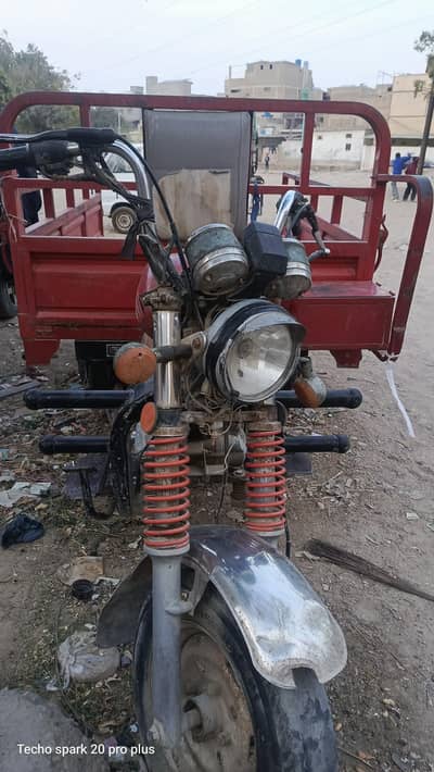 united chinchi for sale