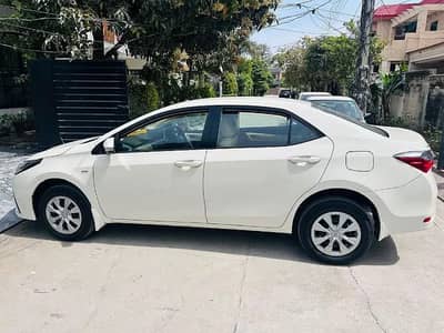 Corolla , yaris, city, alto, cultus, prado, brv for rent in lahore