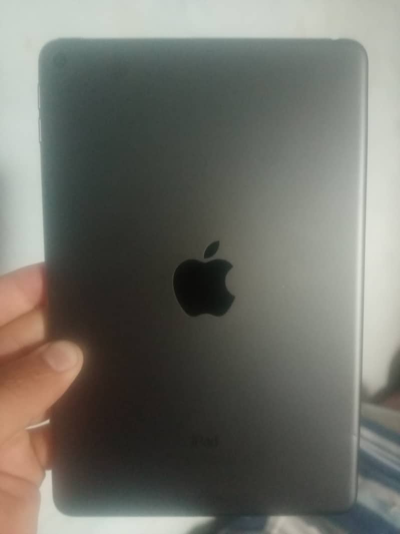 Ipad Mini 5 1