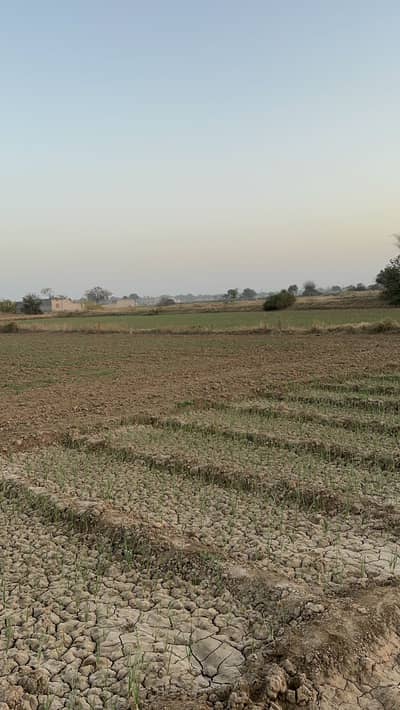 24 Kanal Land With Dera