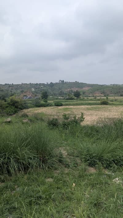 20 kanal land for sale in Balkasar Chakwal