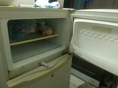 PEL Refrigerator with Excellent Colling