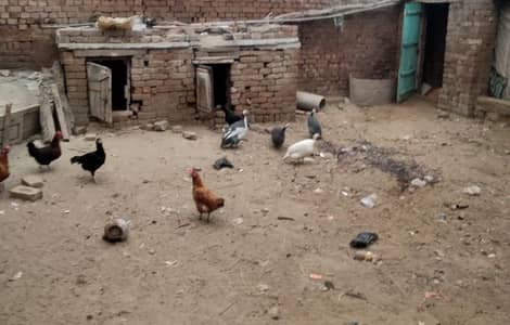 two Pier of chakor is the best time sailing