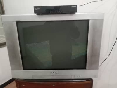 SONY TV , 2 Dish  , 1 Receiver