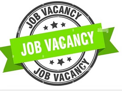 Salesman & Computer Operator