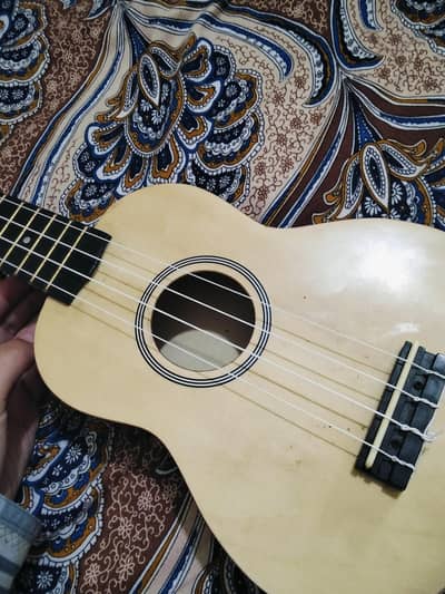 Brown ukulele
