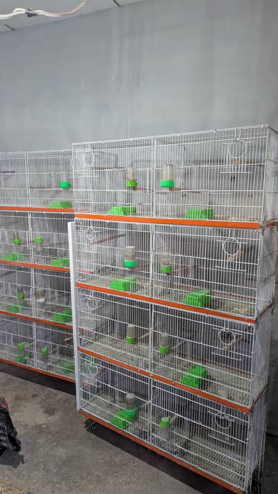 8 Portion folding cage