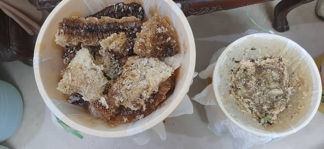 pure forest honey_ wholesale & retail_delivery in punjab