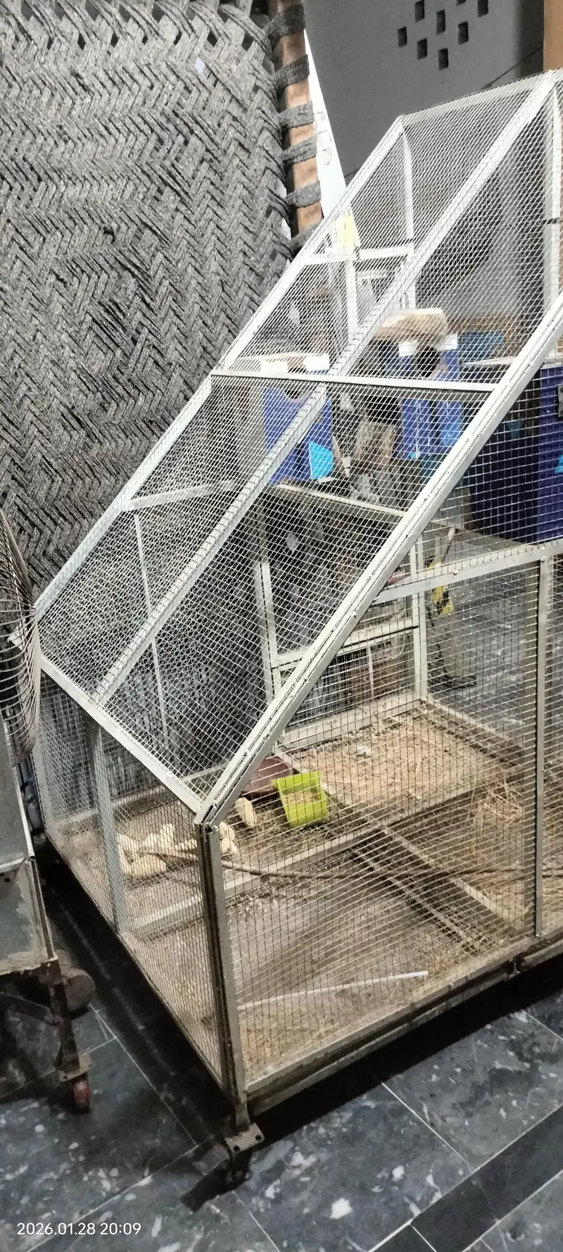Heavy Cage for Love Birds — photo 2