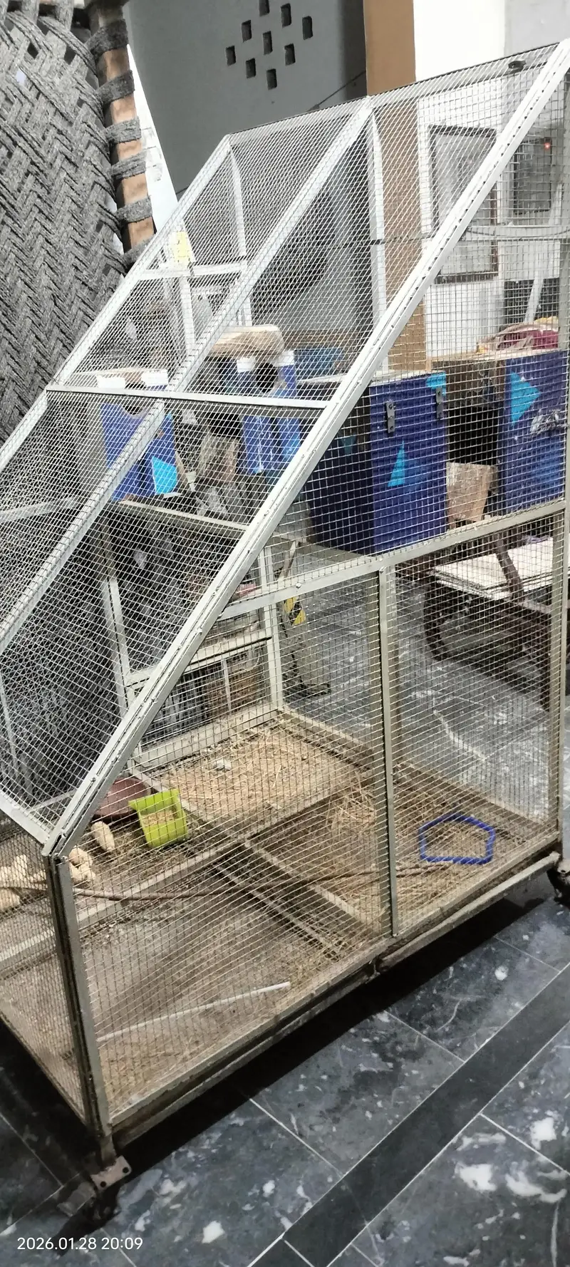 Heavy Cage for Love Birds — photo 3
