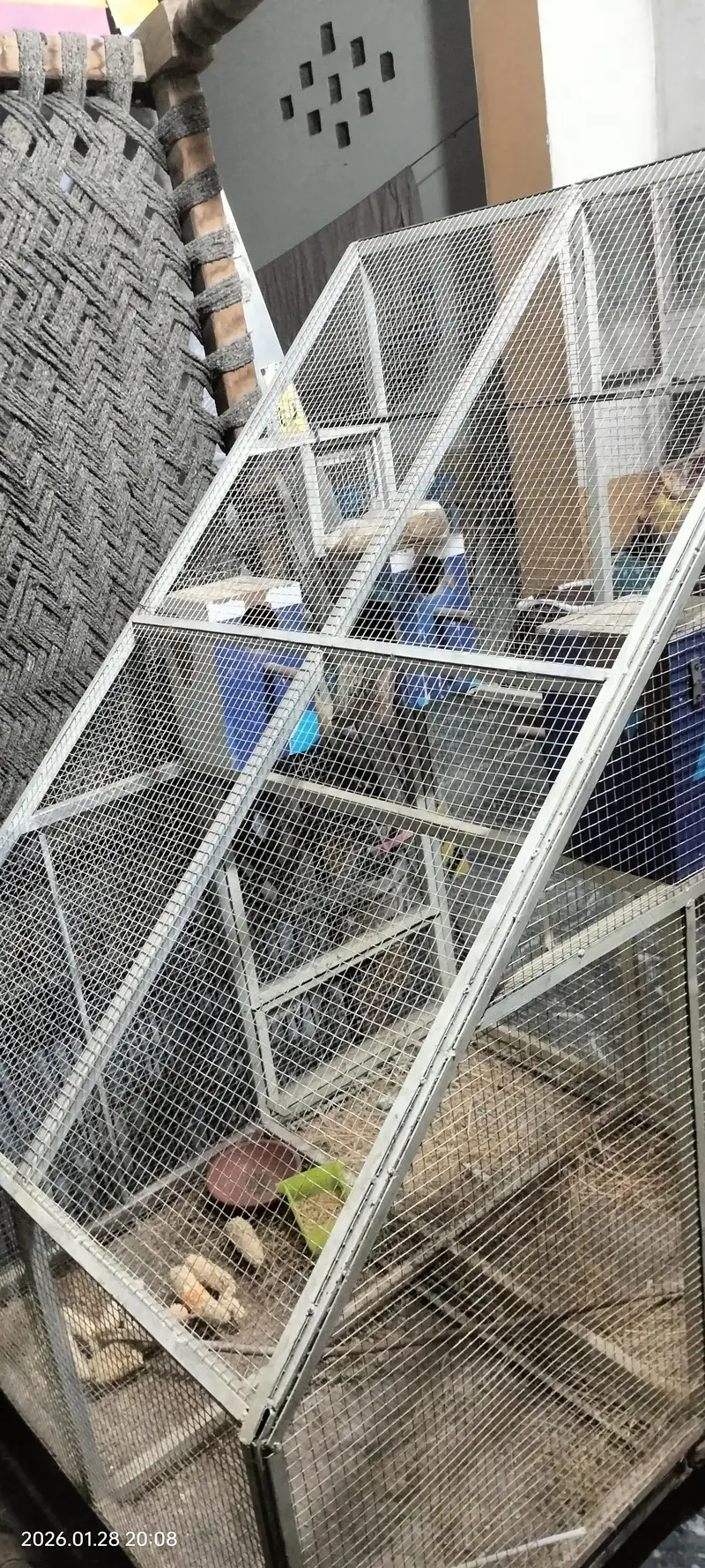 Heavy Cage for Love Birds — photo 4