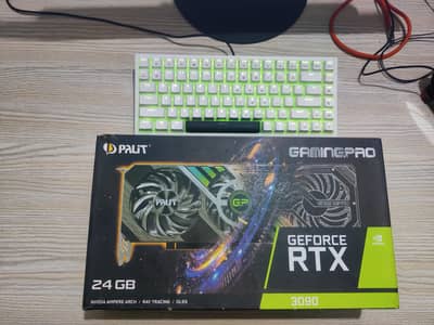 3090 24gb GPU