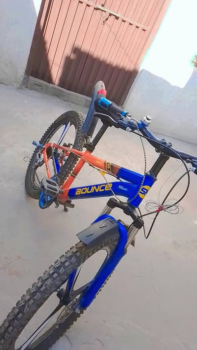 bounce company cycle