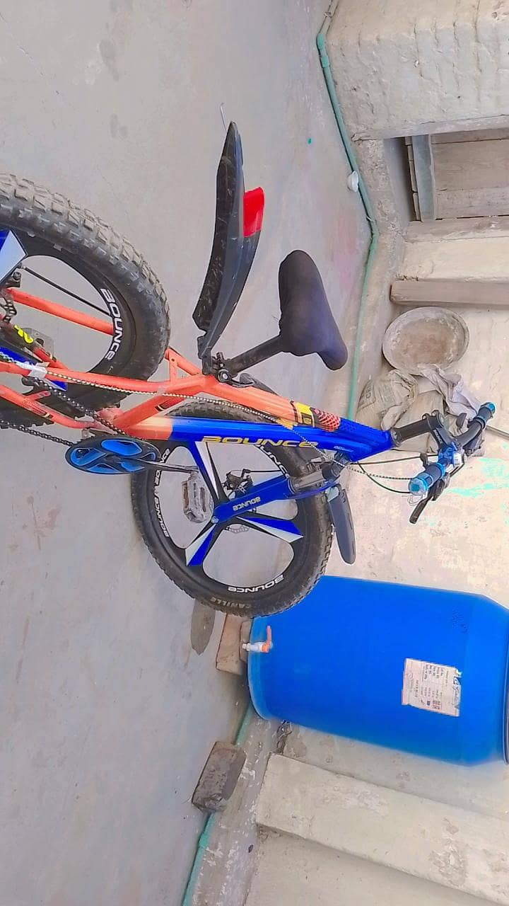 bounce company cycle 1