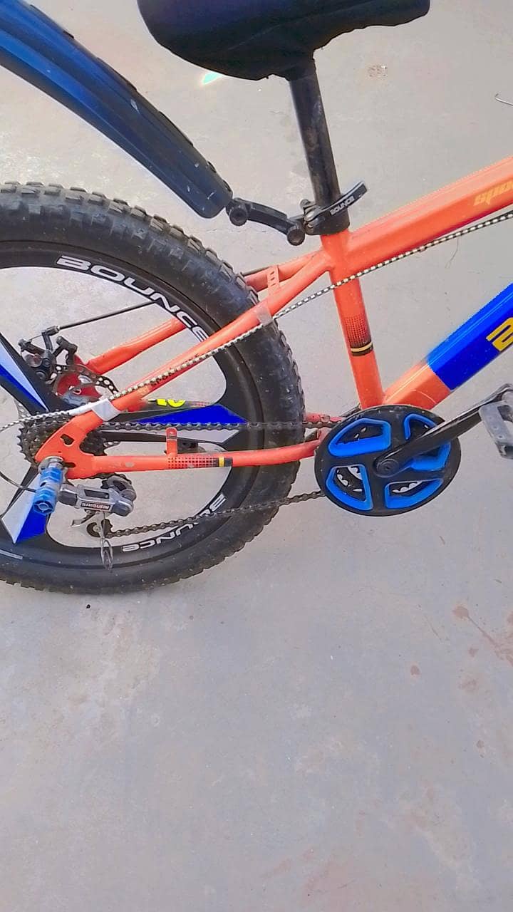 bounce company cycle 2