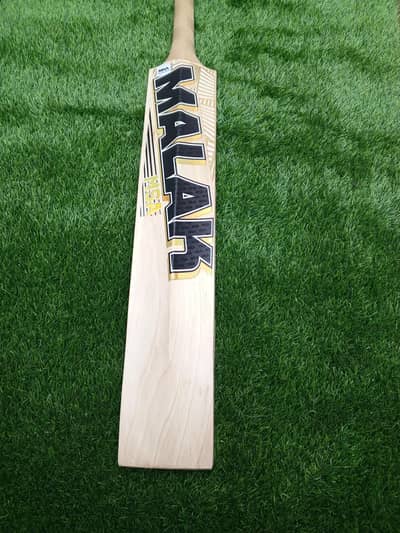 Hardball Cricket Bat