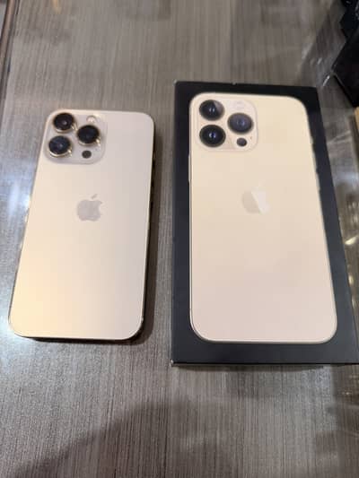 Iphone 13 gold colour pta approved