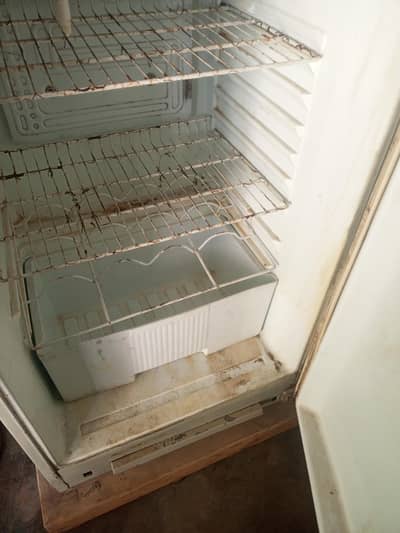 fridge he full size waves company ka