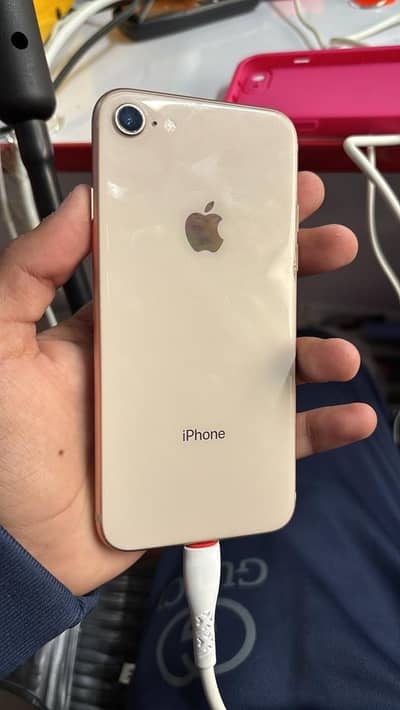 iPhone 8