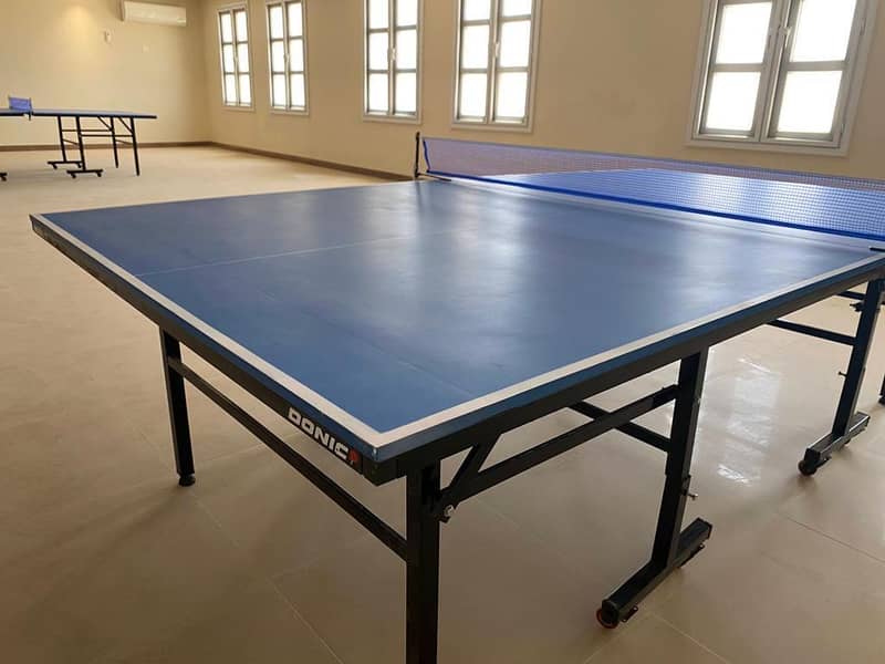 Table Tennis Table 6