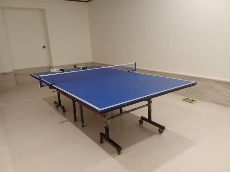 Table Tennis Table 10