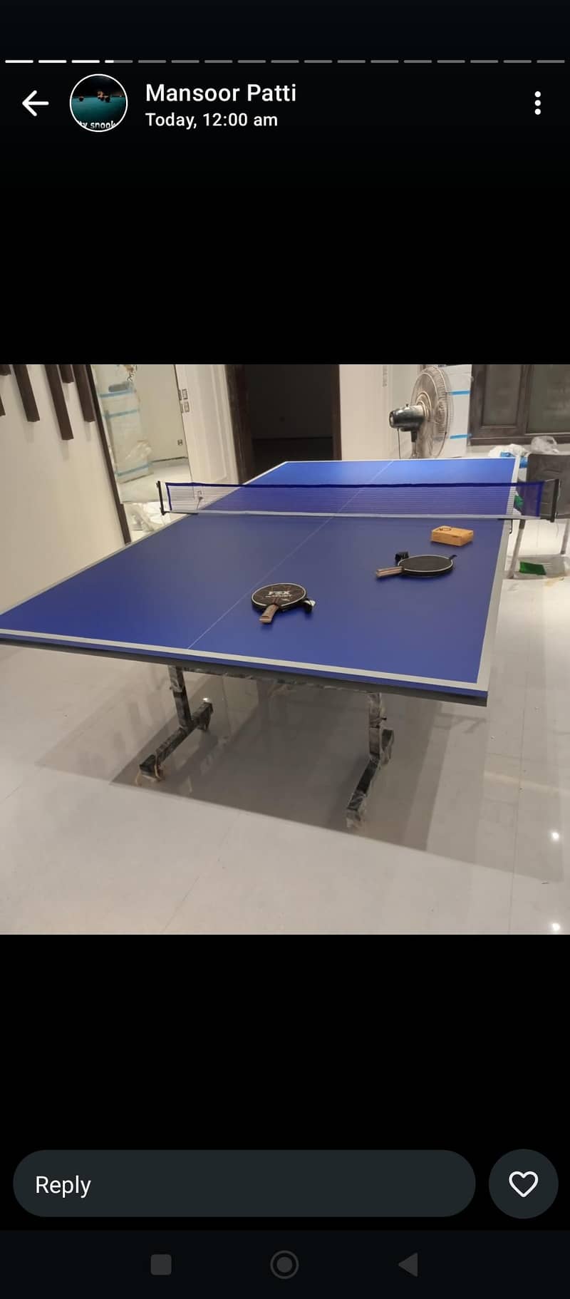 Table Tennis Table 17
