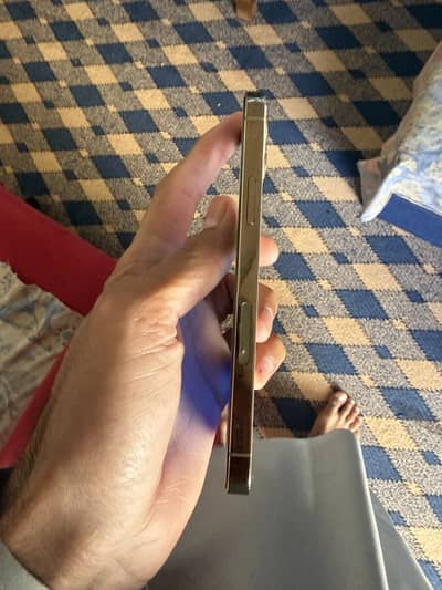 i phone 12 pro esim time available non pta