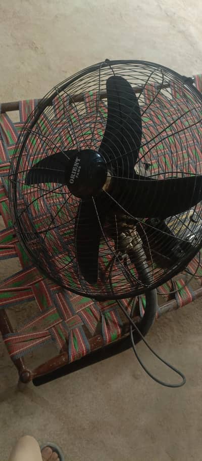Orient bracket fan