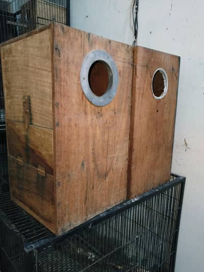 Raw box 2000 love birds box 500