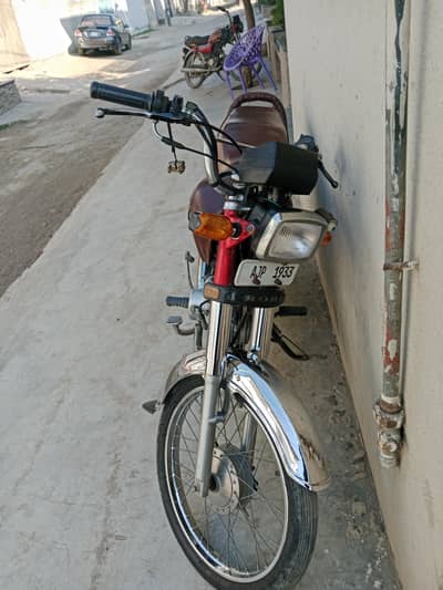 10by10 lush condition